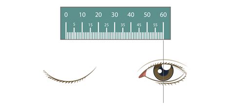 Printable Pd Ruler Printable Ruler Actual Size How To Measure Your Pd