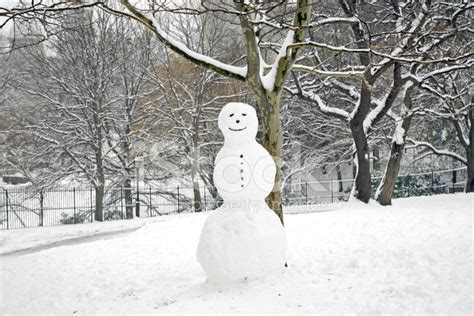 Snowman In Central Park Stock Photo Royalty Free Freeimages