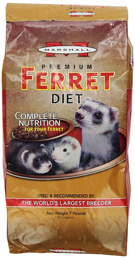 Ferrets make the best of pets. BoughtAgain - Awesome goods you bought it again | Ferret ...