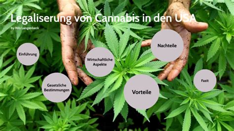 Legalisierung Von Cannabis In Den USA By Fynn Langenbeck