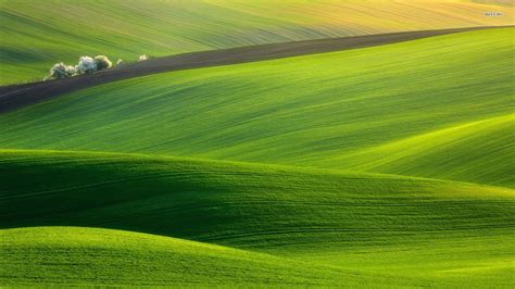 Green Hill Wallpapers Top Free Green Hill Backgrounds Wallpaperaccess