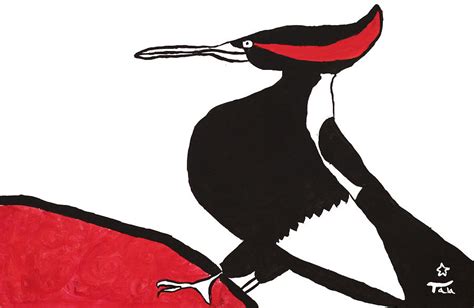 Ivory Billed Woodpecker Painting By Star Forest Fine Art America