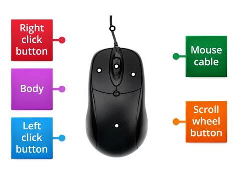 Label The Parts Of The Computer Mouse Labelled Diagram