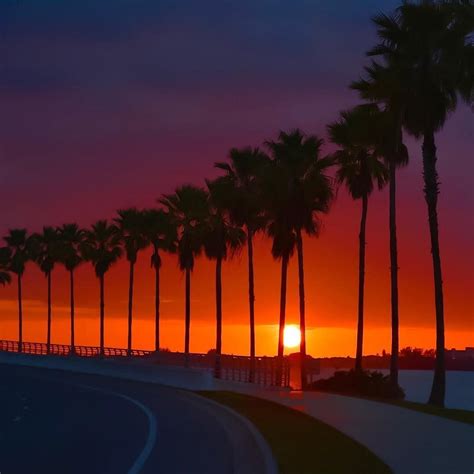 Sarasota Florida By Kingofsunsets Beach Sunset Images Sunset