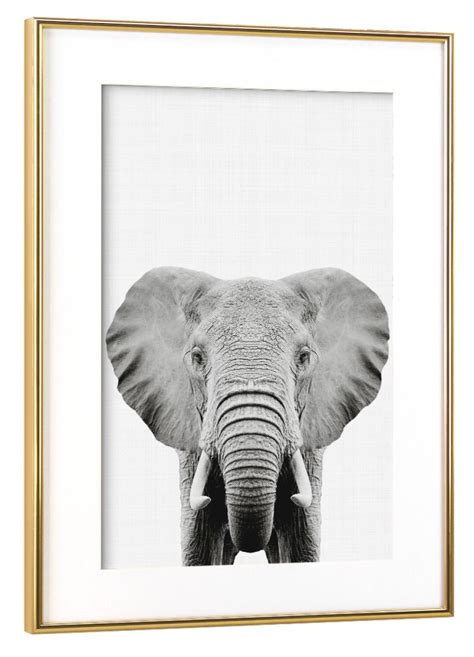 Elephant Portrait By Vivid Atelier Poster Artboxone Safari