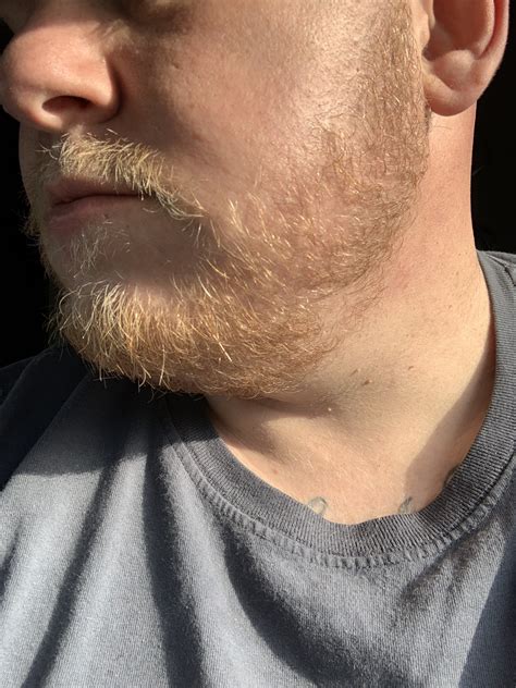 30 light blonde beard growing yeard and beyond beard board
