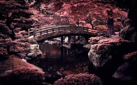 200 Japanese Nature Wallpapers