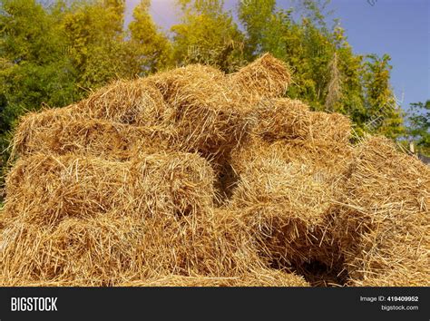 Pile Straw Stack Image And Photo Free Trial Bigstock