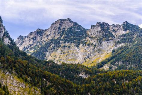 Alps G Ry Zakrywa Z Lasem Koenigssee Konigsee Berchtesgaden Park