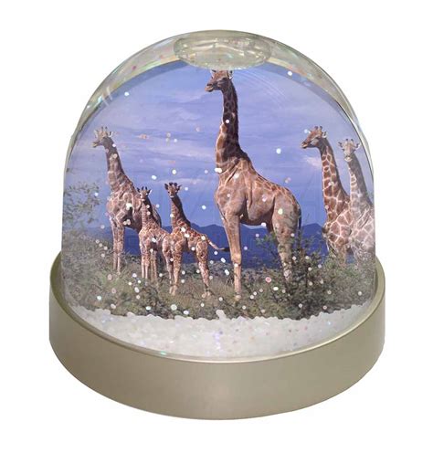 Giraffes Snow Dome Photo Globe Waterball Animal T 11309