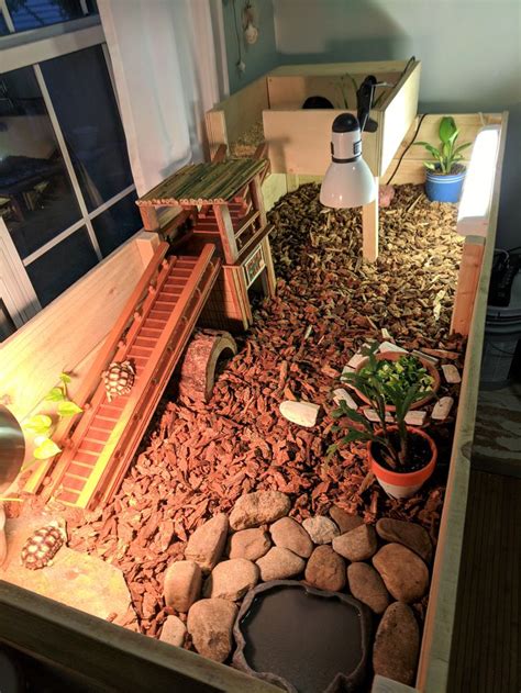 A Miniature House Made Out Of Rocks And Plants