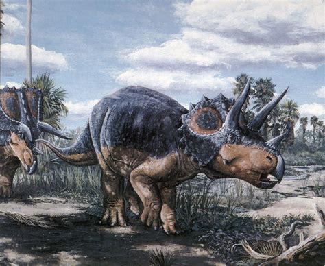 Profile Triceratops And Tyrannosaurus Rex North Dakota Studies