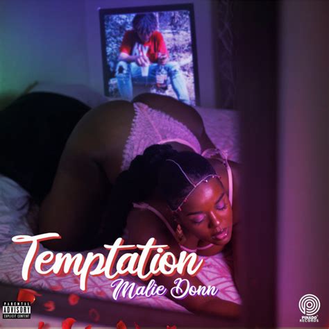 Temptation Single By Malie Donn Spotify