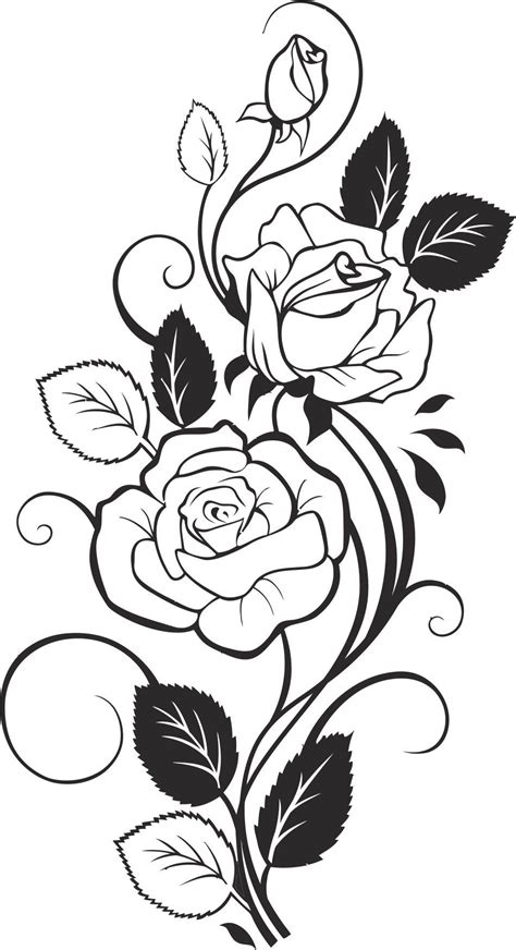 Black And White Rose Vector Cdr File Colouring Pages Adult Coloring