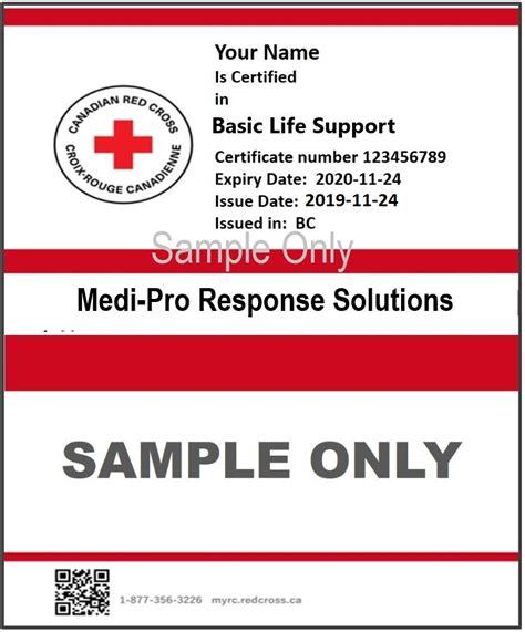 Canadian Red Cross Basic Life Support Courses In Kelowna And Vancouver
