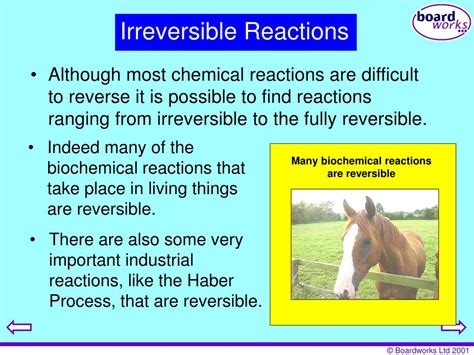 Ppt Reversible Reactions And Equilibrium Powerpoint Presentation