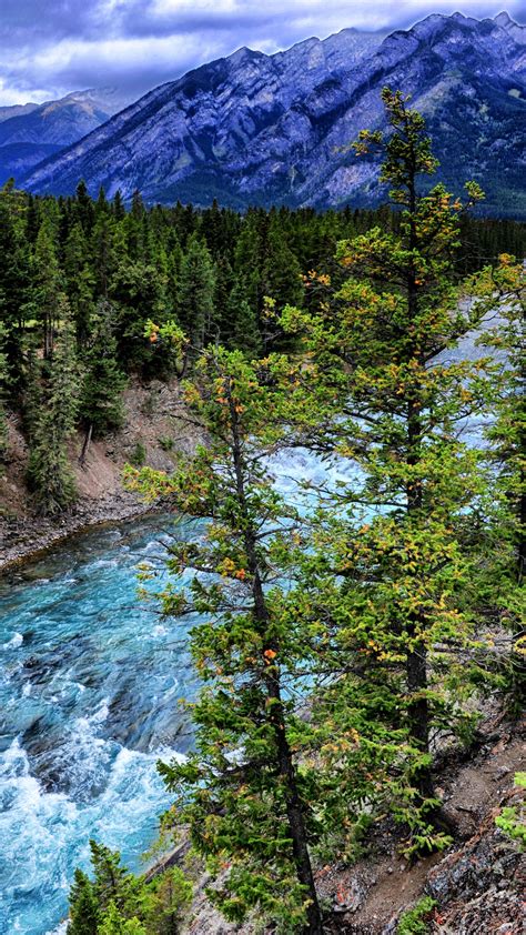 Download Wallpaper 1350x2400 Trees Mountains River Nature Iphone 8