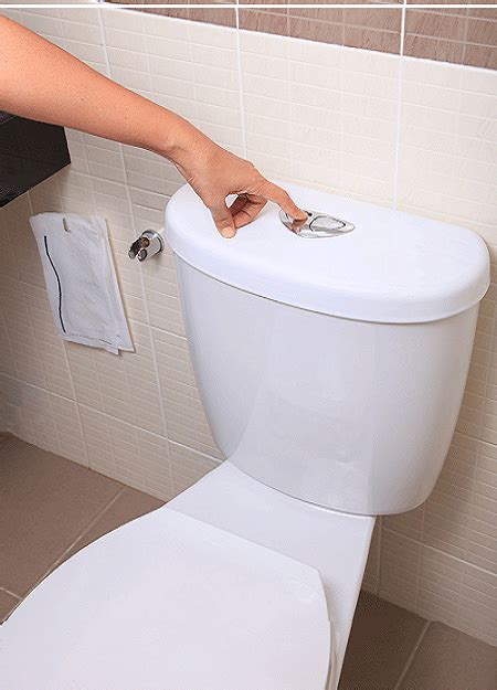 10 Best Flushing Toilets In 2024 Power Flush Toilet Reviewed