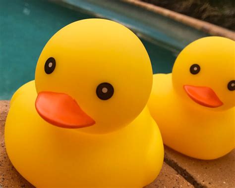 National Rubber Ducky Day 2025 January 13 2025 Year In Days
