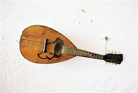 How To Identify Value Vintage Mandolins Guide