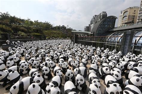 Pandamonium In Hong Kong Luxuo Thailand