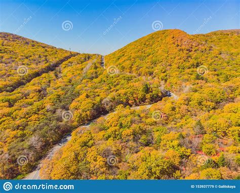 Aerial View Of Road In Beautiful Autumn Forest At Sunset