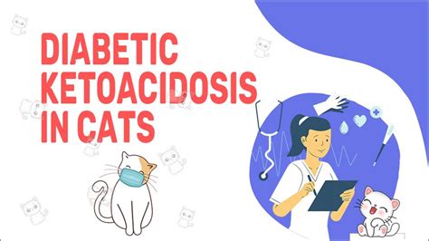 Diabetic Ketoacidosis In Cats Petmoo The Bark Avenues