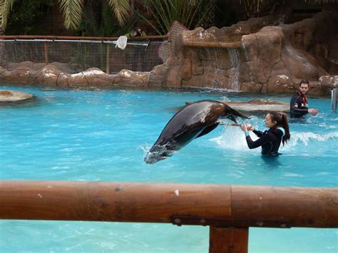 Al visitar estos simpáticos mamíferos en el arco del fin del mundo en. Conociendo a los leones marinos y mejorando el ...