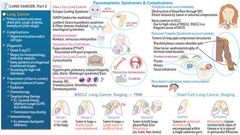 Pathology Lung Cancer Part Diagnosis Complications Staging