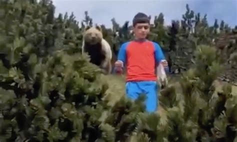 Boy Stalked By Huge Brown Bear Reacts Perfectly
