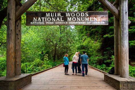 Muir Woods National Monument Tour Am Morgen Getyourguide