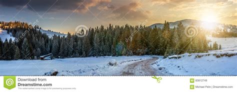 Panorama Of Snowy Road Through Spruce Forest In Mountains At Sun Stock