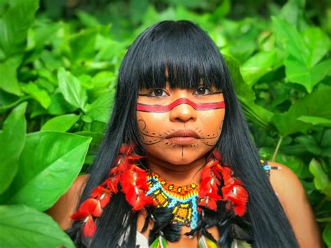 Arte Indígena Vida Amazônica