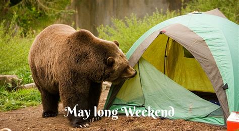 May Long Weekend Victoria Day In Canada