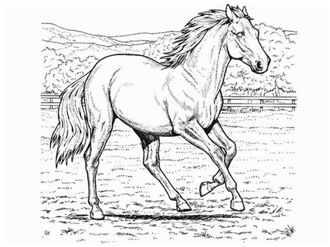 Hard Horse Coloring Pages At Free Printable