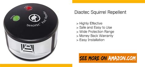 Read our latest expert guide to find out. Do Ultrasonic Pest Repellers Work Squirrels - Pest Control ...