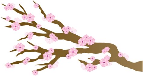 Each image starts from as low as 540. Transparent Sakura Clipart - Cherry Blossom - Png Download - Full Size Clipart (#5236308 ...