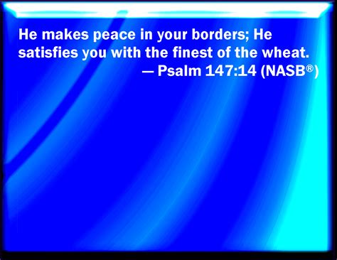 Psalm 14714 He Makes Peace In Your Borders And Fills You With The