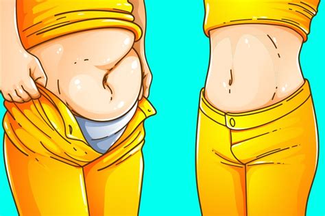 Too Much Belly Fat Experts Share 6 Tips To Melt Away Belly Fat Delightful Daily