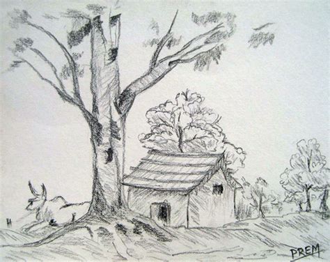 landscape and the surrounding trees make the house artistic and real | Landscape drawing easy ...