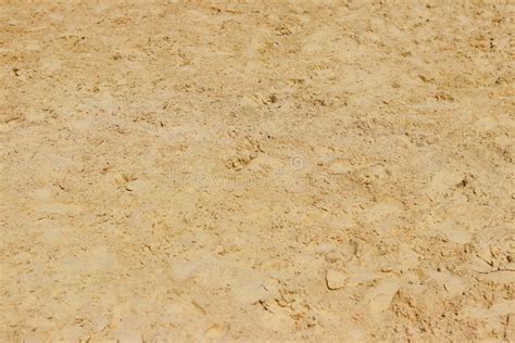 Sand Relief Stones Texture Of Chaotic Footprints Naturale Background