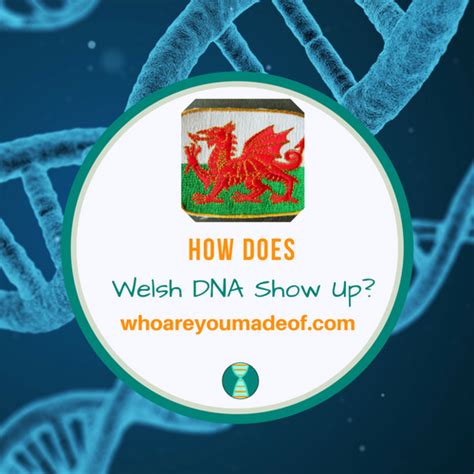 How Does Welsh Dna Show Up Who Are You Made Of