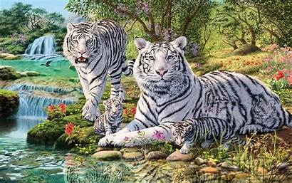 Tiger Jungle Animals Desktop Cubs Waterfall Phones