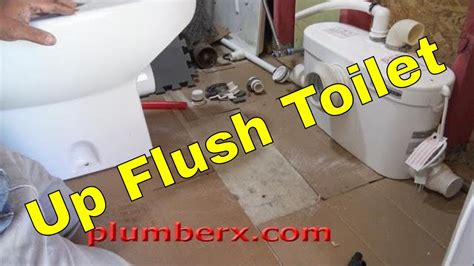 Flush Up Toilet For Basement Liberty Pumps Ascent Ii 1 28 Gpf