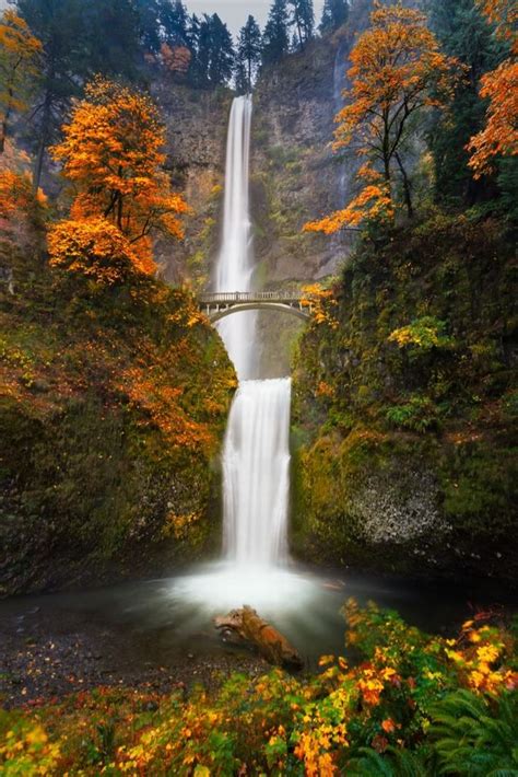 Multnomah Falls Columbia River Gorge Oregon Autumn Scenery