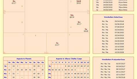 vedic astrology birth chart