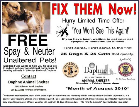 I took my cat to the vet for a uti. News & Events « Daphne Animal Shelter