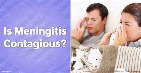 Bagaimana dengan sebuah video yang telah admin berikan di atas, apakah sangat menarik untuk kalian lihat, admin harap begitu. Is Meningitis Contagious?