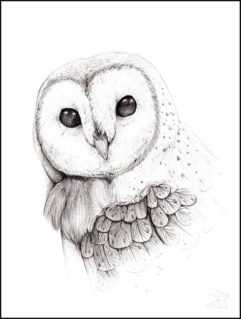 Barn Owl By The F0x On Deviantart Barn Owl Tattoo Owls Drawing