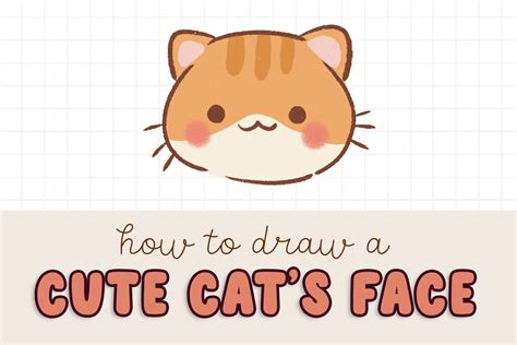 How To Draw A Cute Cat Face Easy Beginner Guide